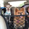 Pet Isolation Net Dog Car Protection Network Car Anti-wrestling Pet Supplies